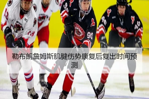 勒布朗詹姆斯肌腱伤势康复后复出时间预测